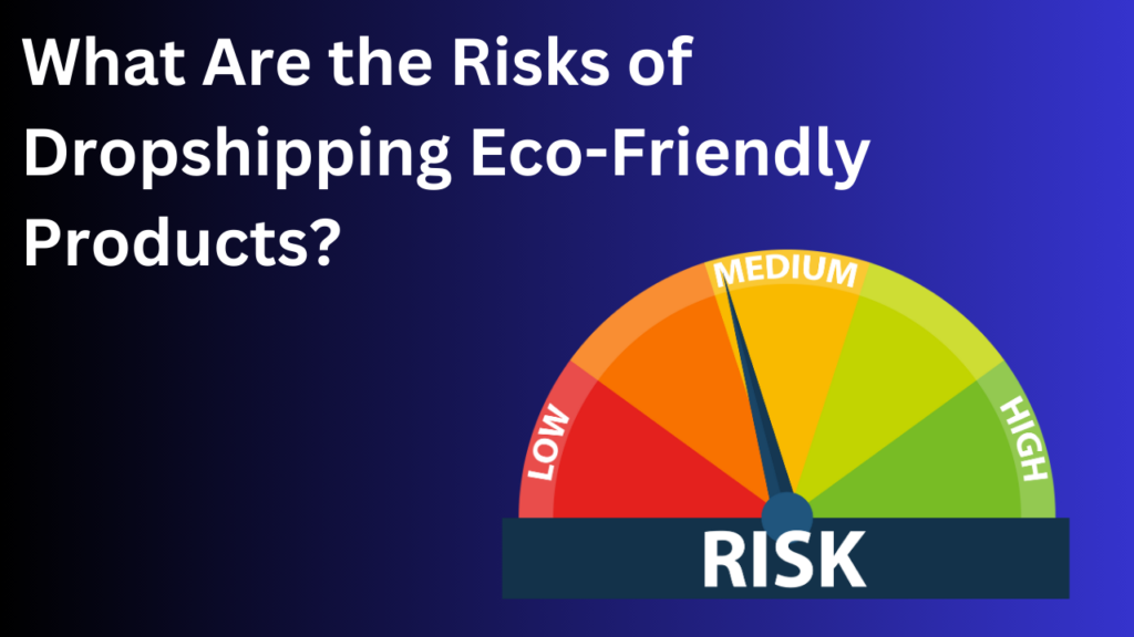 Risks-of-Dropshipping-Eco-Friendly